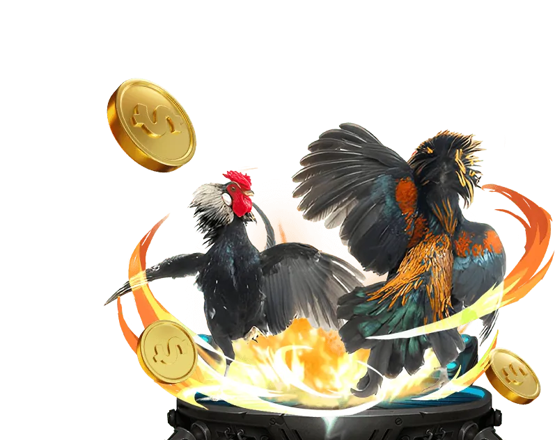 Công bằng và minh bạch trong đá gà online