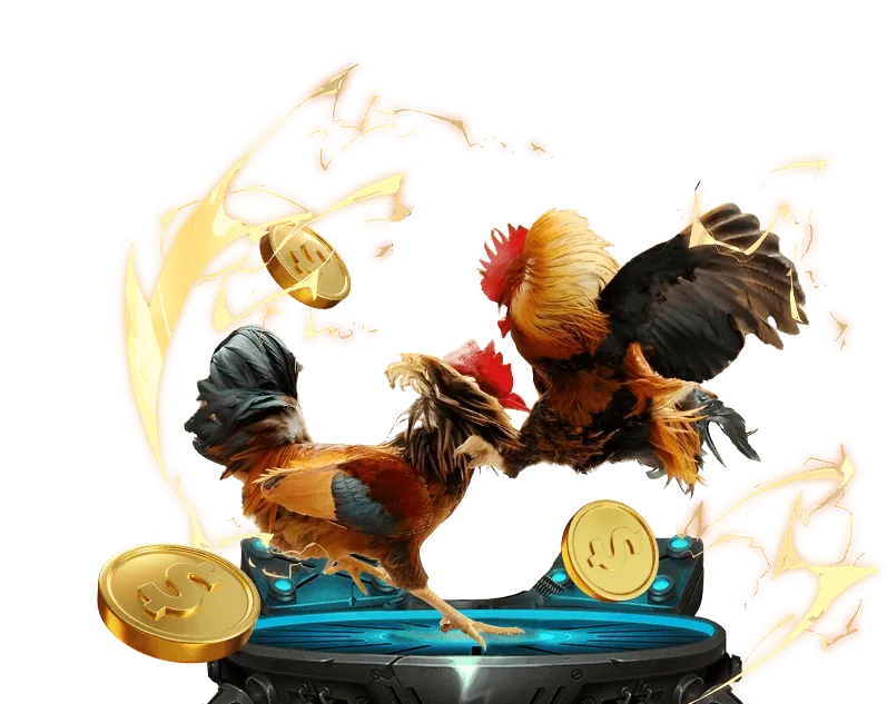 Đội ngũ chuyên gia đá gà